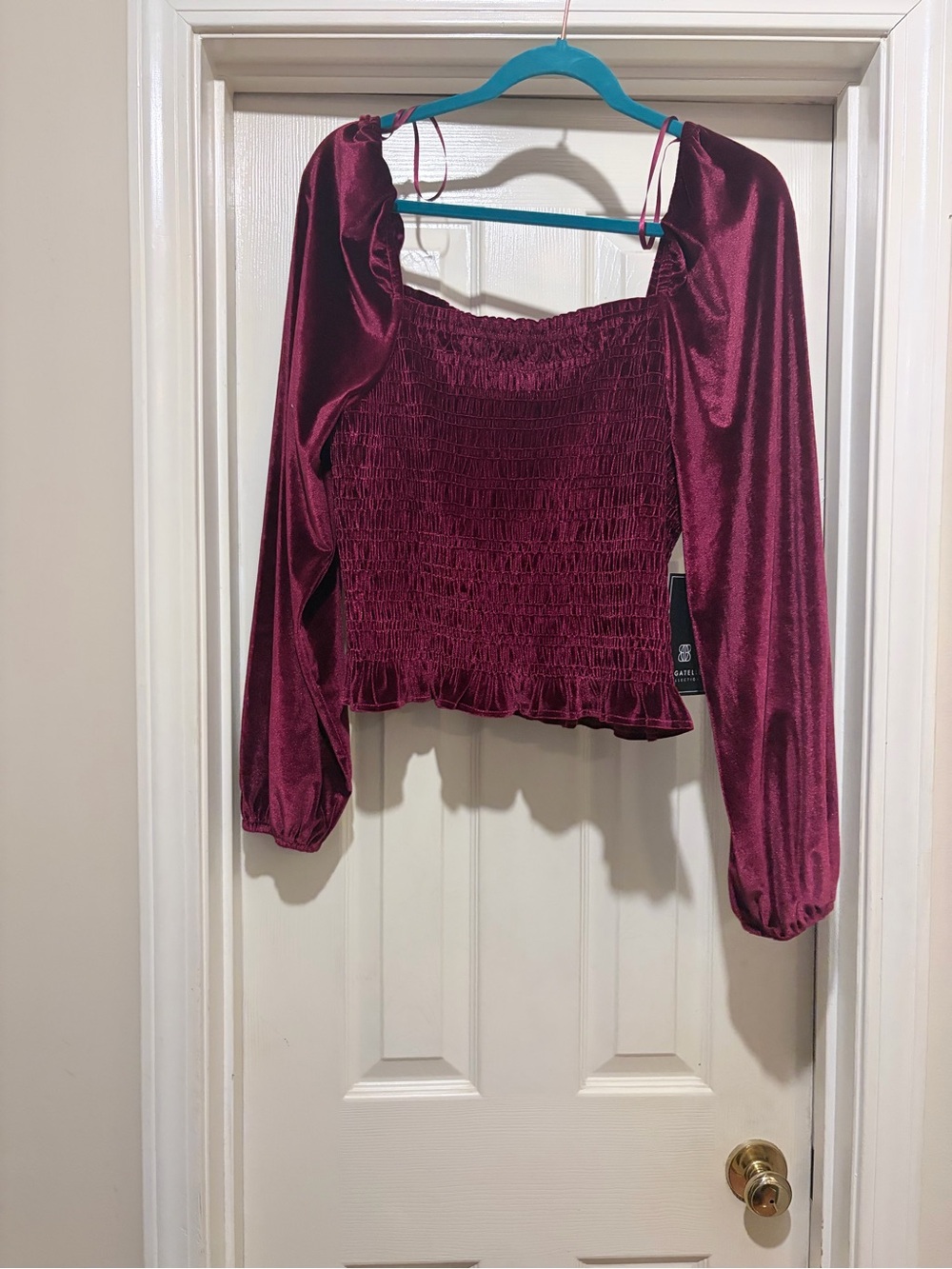 bagatelle Wine Smocked velvet Long Sleeve Crop Top